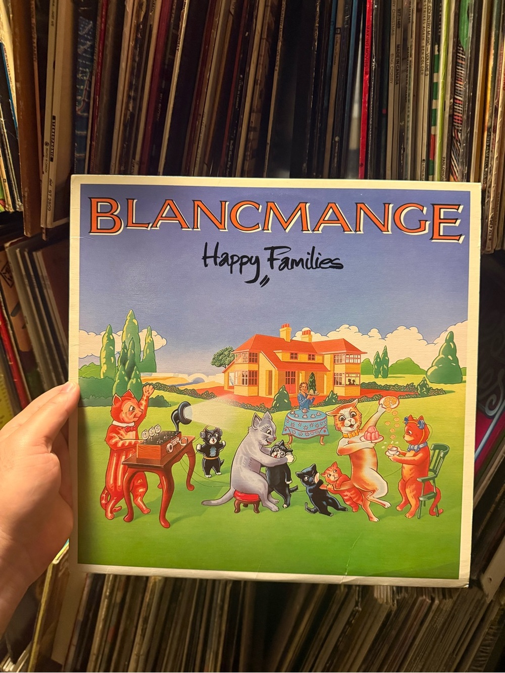 Blancmange "Happy Families" Vinyl Record